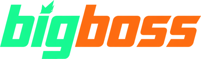 bigboss logo